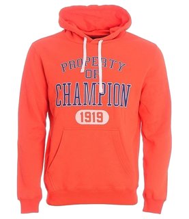 Champion Hooded Sweatshirt 209036-TGR