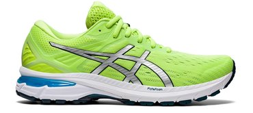 Кроссовки для бега Asics Gt 2000 9 1011A983 300