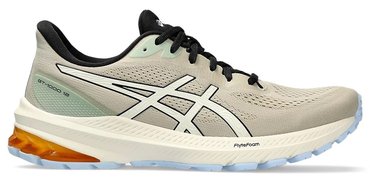 Кроссовки для бега Asics GT-1000 12 TR 1011B761 250