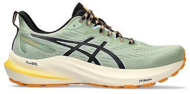 Кроссовки для бега Asics GT-2000 12 TR 1011B775 250