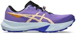 Кроссовки для бега Asics FUJI LITE 6 1012B865 500