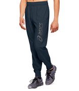 Спортивные брюки Asics Big Logo Sweat Pant 2031A977 409