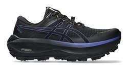 Кроссовки для бега Asics FUJISETSU MAX GTX 1011C115-001