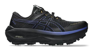 Кроссовки для бега Asics FUJISETSU MAX GTX 1011C115-001