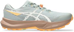 Кроссовки для бега Asics FUJI LITE 6 1012B865-300
