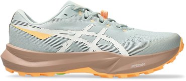 Кроссовки для бега Asics FUJI LITE 6 1012B865-300