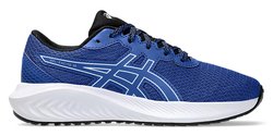 Детские кроссовки Asics Gel Excite 10 Gs (Junior) 1014A298 406