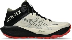 Кроссовки для бега Asics GEL-TRABUCO MT GTX 1012B864-250