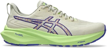 Кроссовки для бега Asics GT 2000 13 TR 1011C042-300