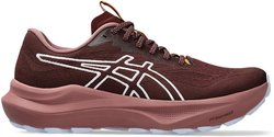 Кроссовки для бега Asics GT-2000 14 TR 1012B902-600