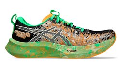 Полумарафонки Asics Noosa Tri 16 1011B872 002