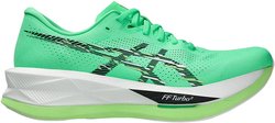 Кроссовки для бега Asics Sonicblast 1011C083 300