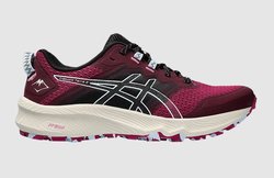 Женские кроссовки для бега Asics Trabuco Terra 2 (Women) 1012B427 500