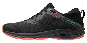 Кроссовки для бега Mizuno Wave Rider GoreTex 2 (Women) J1GD2079-09