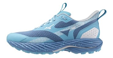 Кроссовки для бега Mizuno Wave Rider TT 2 (W) J1GD2432-21