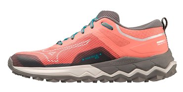 Кроссовки для бега Mizuno Wave Ibuki 4 GoreTex (Women) J1GK2259-71-S