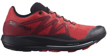 Кроссовки для бега SALOMON PULSAR TRAIL L41602900