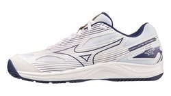 Волейбольные кроссовки MIZUNO CYCLONE SPEED 4 V1GA2380-43