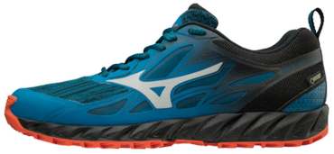 Кроссовки MIZUNO WAVE IBUKI GTX J1GJ1859-03