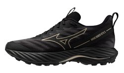 Кроссовки для бега MIZUNO WAVE RIDER 2 G-TX (Women) J1GD2479-21
