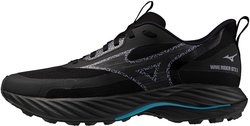 Кроссовки для бега Mizuno Wave Rider GoreTex 3 J1GC2579-01