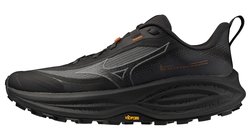 Кроссовки для бега Mizuno Neo Daichi 10 Gore-Tex (Women) J1GW2682-72