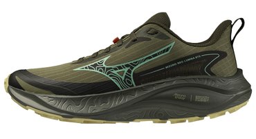 Кроссовки для бега Mizuno Neo Lumina GoreTex (Women) J1GK2659-71