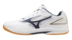 Кроссовки для настольного тенниса Mizuno Wave Drive 9 81GA2205-14
