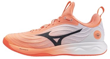 Волейбольные кроссовки Mizuno WAVE LUMINOUS ELITE V1GA2620-80