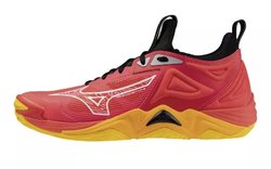Волейбольные мужские кроссовки Mizuno Wave Momentum 3 V1GA2312-04