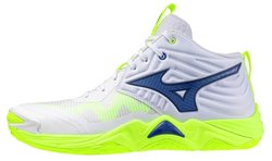 Волейбольные кроссовки Mizuno WAVE MOMENTUM ELITE MID V1GA2517-39