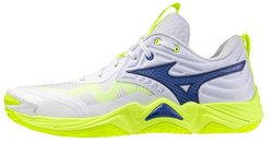 Волейбольные кроссовки Mizuno Wave Momentum Elite V1GA2512-39