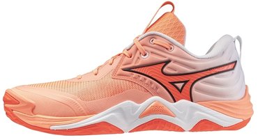 Волейбольные кроссовки Mizuno WAVE MOMENTUM ELITE V1GA2512-80