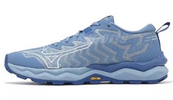 Кроссовки для бега Mizuno Wave Daichi 8 GoreTex (Women) J1GK2456-71