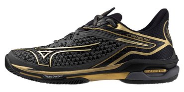 Кроссовки для тенниса Mizuno Wave Exceed Tour 6 CC (Clay Court) 10th Edition 61GC2478-52