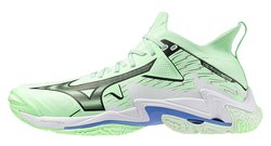 Мужские волейбольные кроссовки Mizuno Wave Lightning Neo 3 V1GA2402-86
