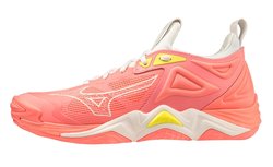 Женские волейбольные кроссовки Mizuno Wave Momentum 3 (Women) V1GC2312-06