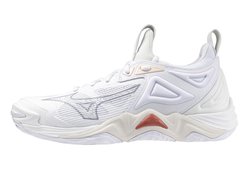 Женские волейбольные кроссовки Mizuno Wave Momentum 3 (Women) V1GC2312-25