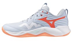 Волейбольные кроссовки Mizuno Wave Momentum Pro (Women) V1GC2540-84