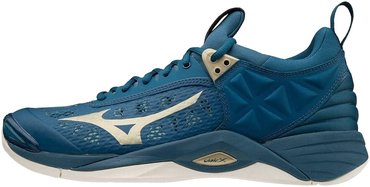 Волейбольные кроссовки Mizuno Wave Momentum V1GA1912-51