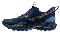 Кроссовки для бега Mizuno Wave Rider TT 2 J1GC2432-01