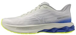 Кроссовки для бега Mizuno Wave Skyrise 7 J1GC2609 02