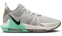 Кроссовки NIKE LEBRON WITNESS VII "DELORIAN" DM1123-006