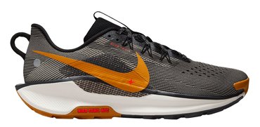 Кроссовки для бега Nike React Pegasus Trail 5 DV3864 009