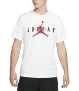 Футболка Nike Jordan Air Wordmark CK4212-103