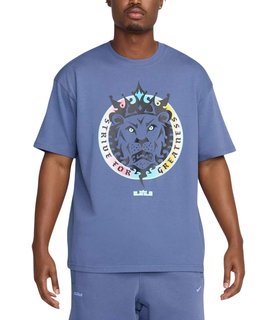 Футболка Nike LBJ M NK TEE M90 SP25 HJ3341-491