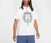 Футболка Nike LEBRON MAX90 HJ3341-100