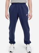 Мужские спортивные брюки Nike M Sportswear Club Joggers BV2679-410