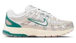 Мужские кроссовки Nike P-6000 PRM HF4308-072