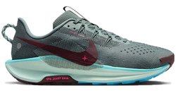 Кроссовки для бега Nike PEGASUS TRAIL 5 DV3864-302